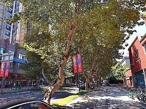 CHENGDU - Quartier Jianshe - Domicile Quentin - Aout 2023 -  28